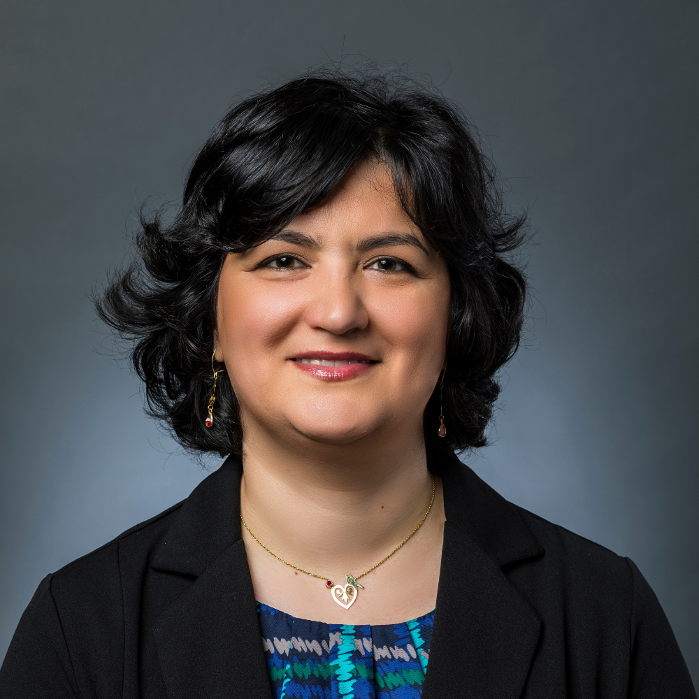 Azadeh – EMBC 2026